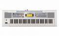 ROLAND E-09 W